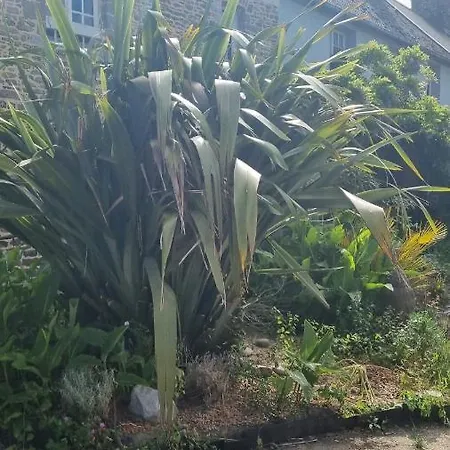 Plantation De Poivre- La Petite Riviere